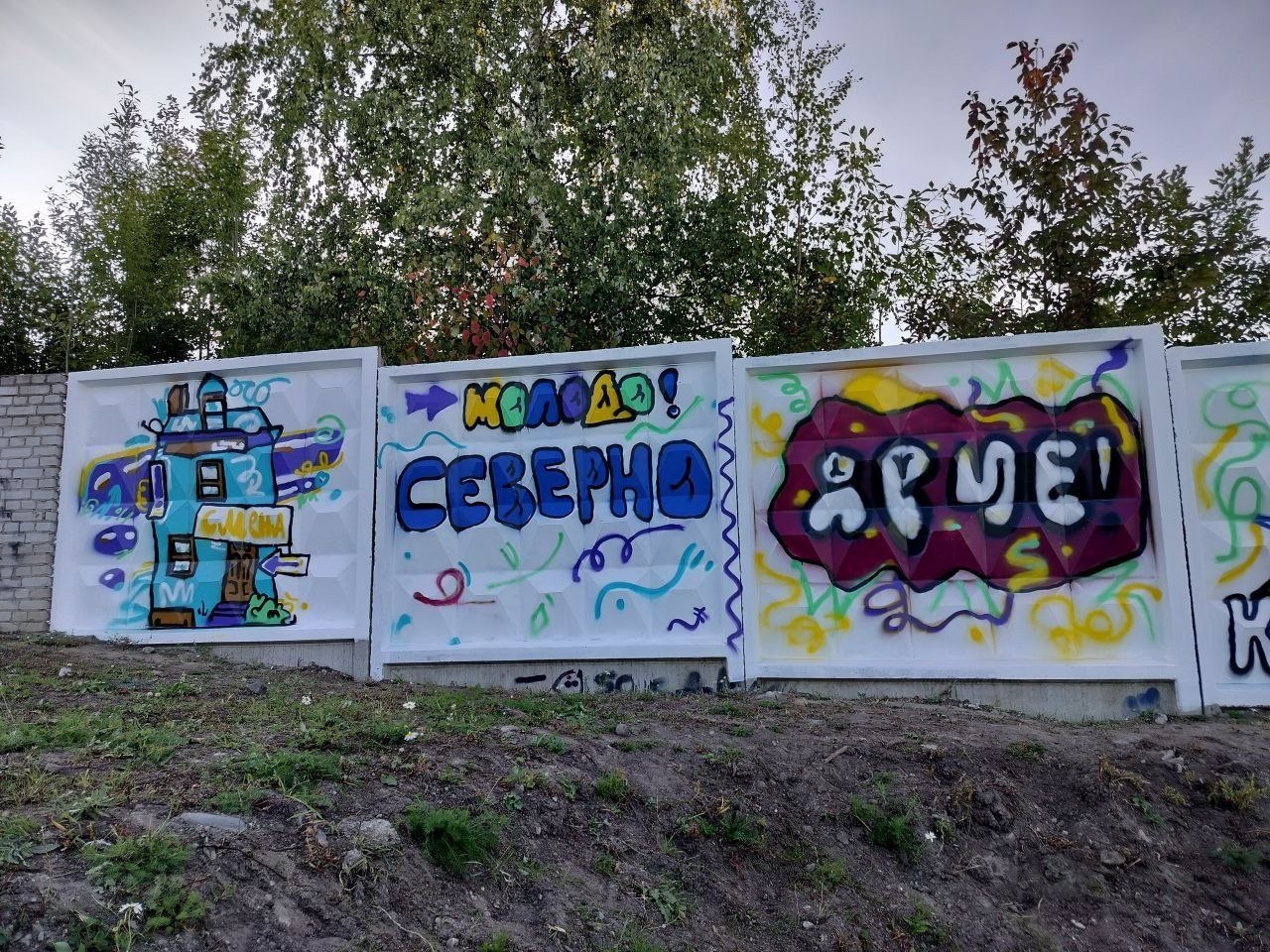 «Стрит-арт» на Перевалке пришелся не по вкусу жителям Петрозаводска