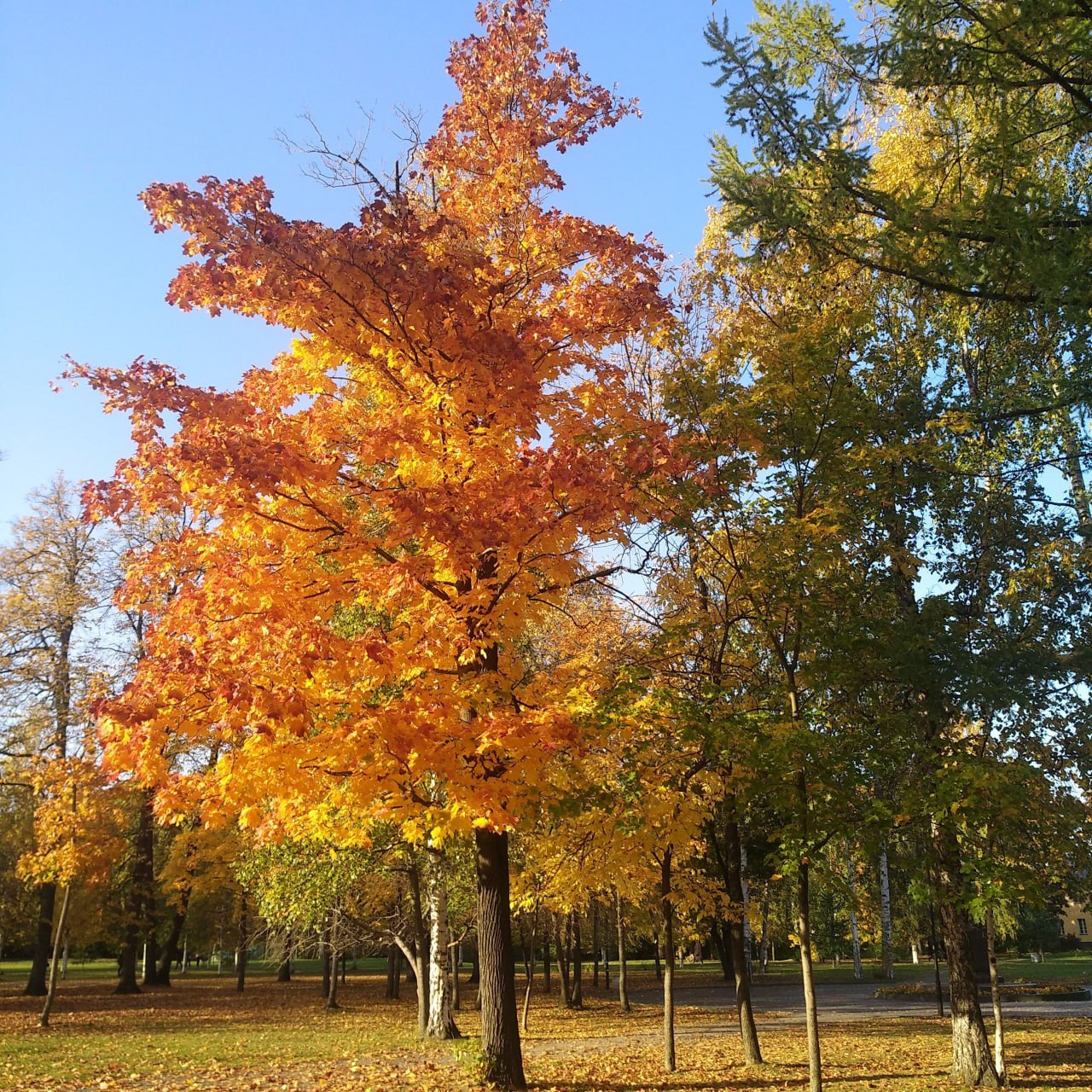 Синоптики сообщили о погоде в Карелии на вторник