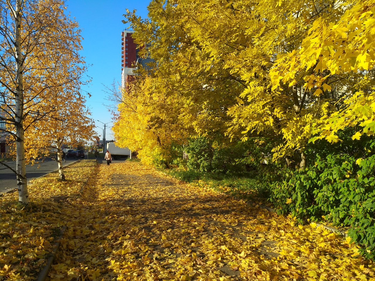 Облака есть, осадков нет: Карелия встретит октябрь тихой осенней погодой