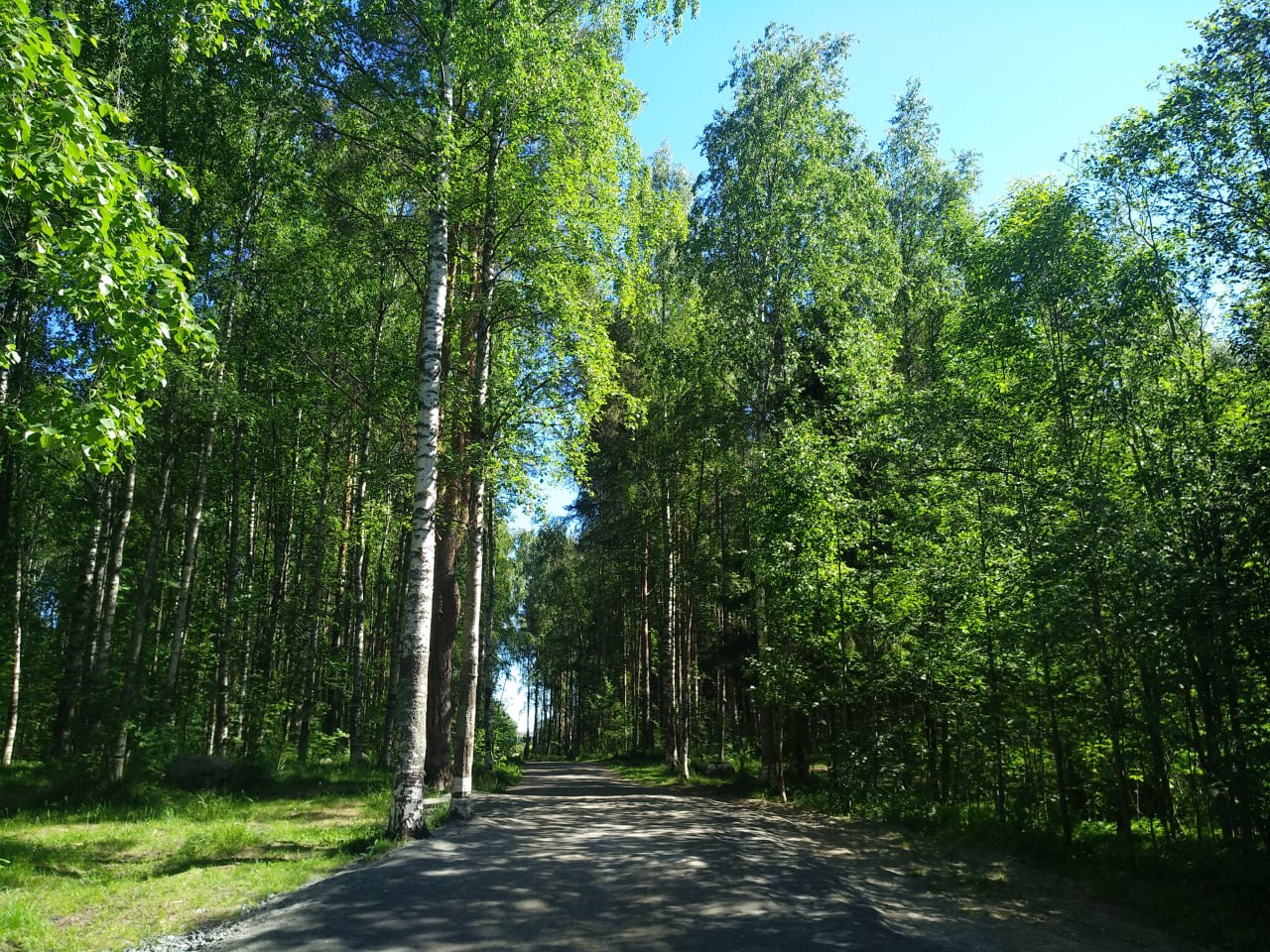 Осень сдалась: в Карелии завтра до +21°С и без намеков на дождь