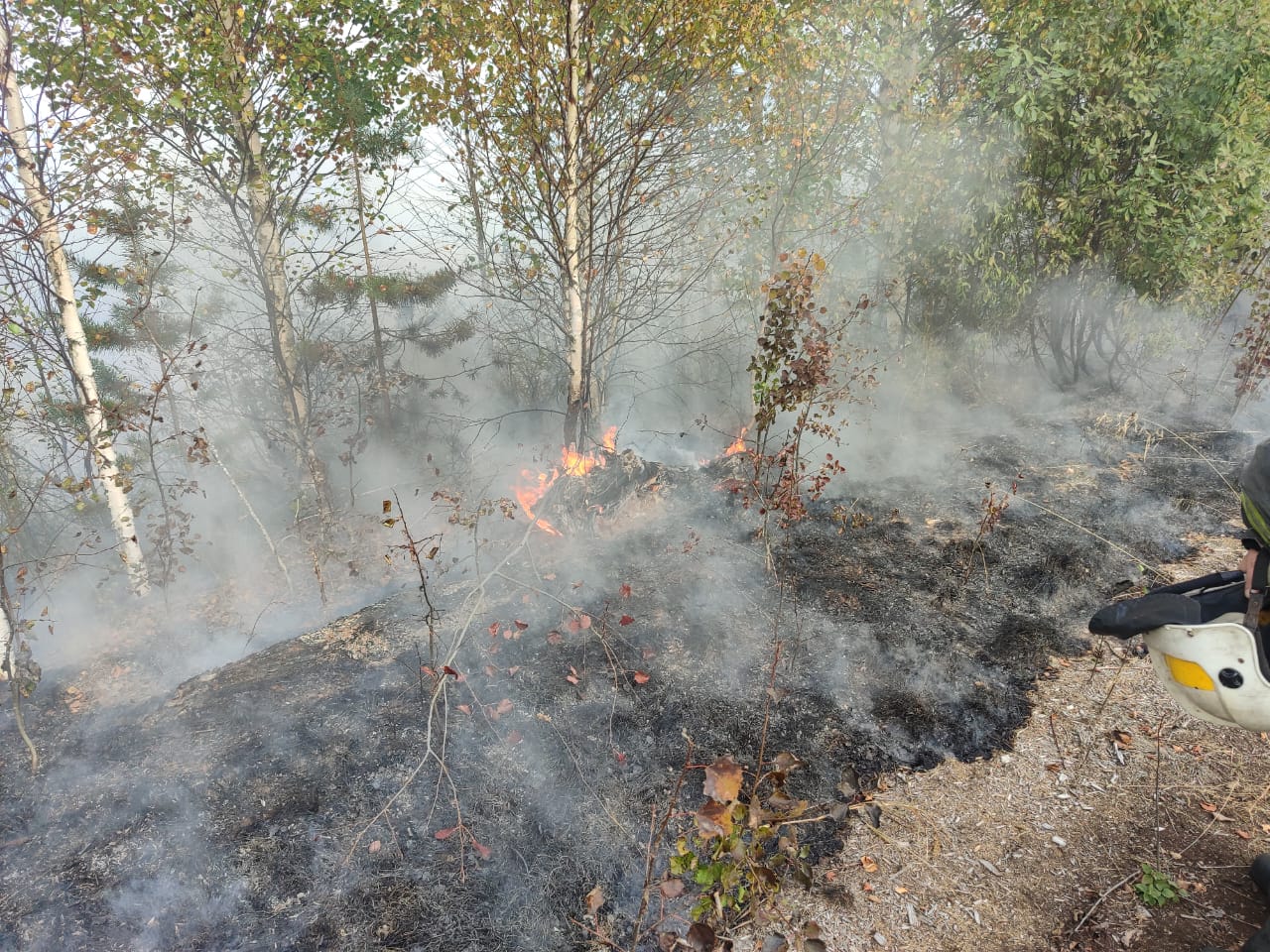 Пожарные спасли от огня самую веселую деревню в Карелии