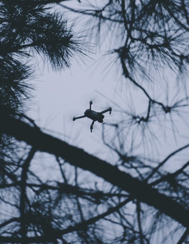 Самая массированная атака: 30 «лютых» дронов с пластитом сбили рядом с Карелией