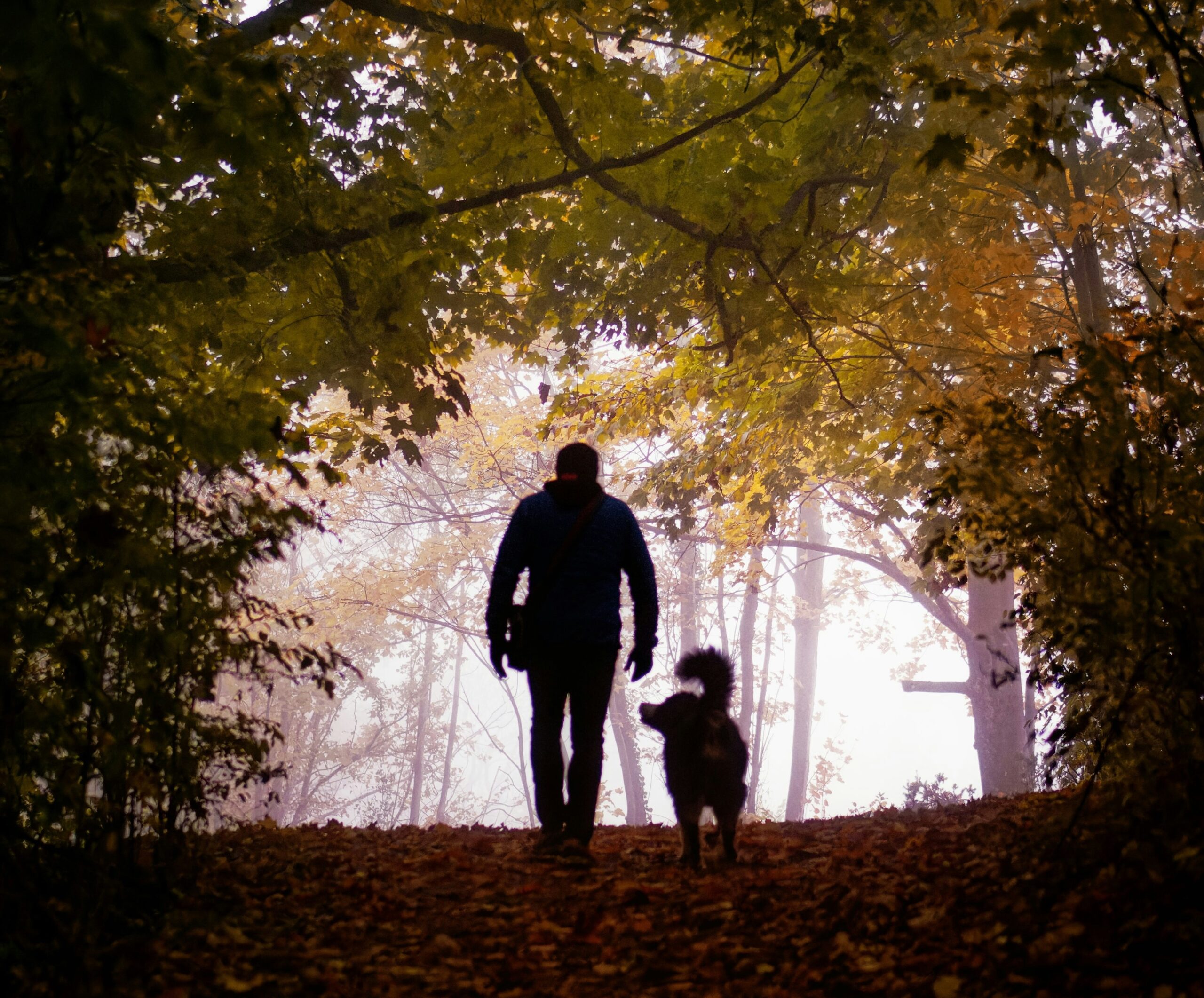 Идеальная погода для осенней прогулки. Прогноз погоды на 26 сентября