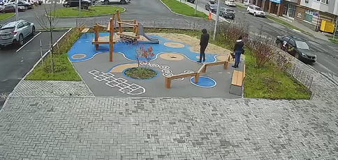 Горожане возмутились выгулу собаки на площадке в Петрозаводске