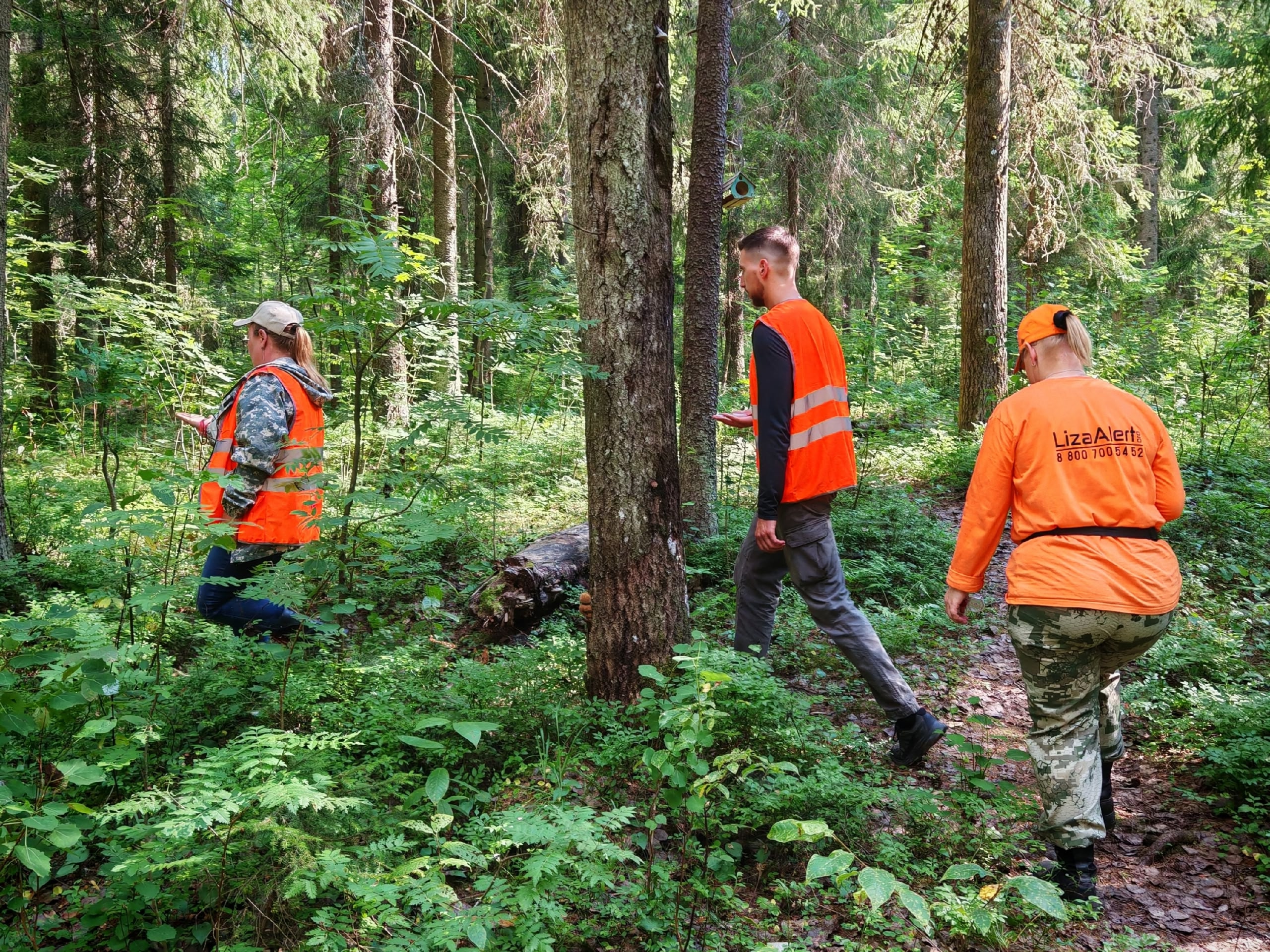 «ЛизаАлерт» Карелия: 25 человек найдены живыми в августе