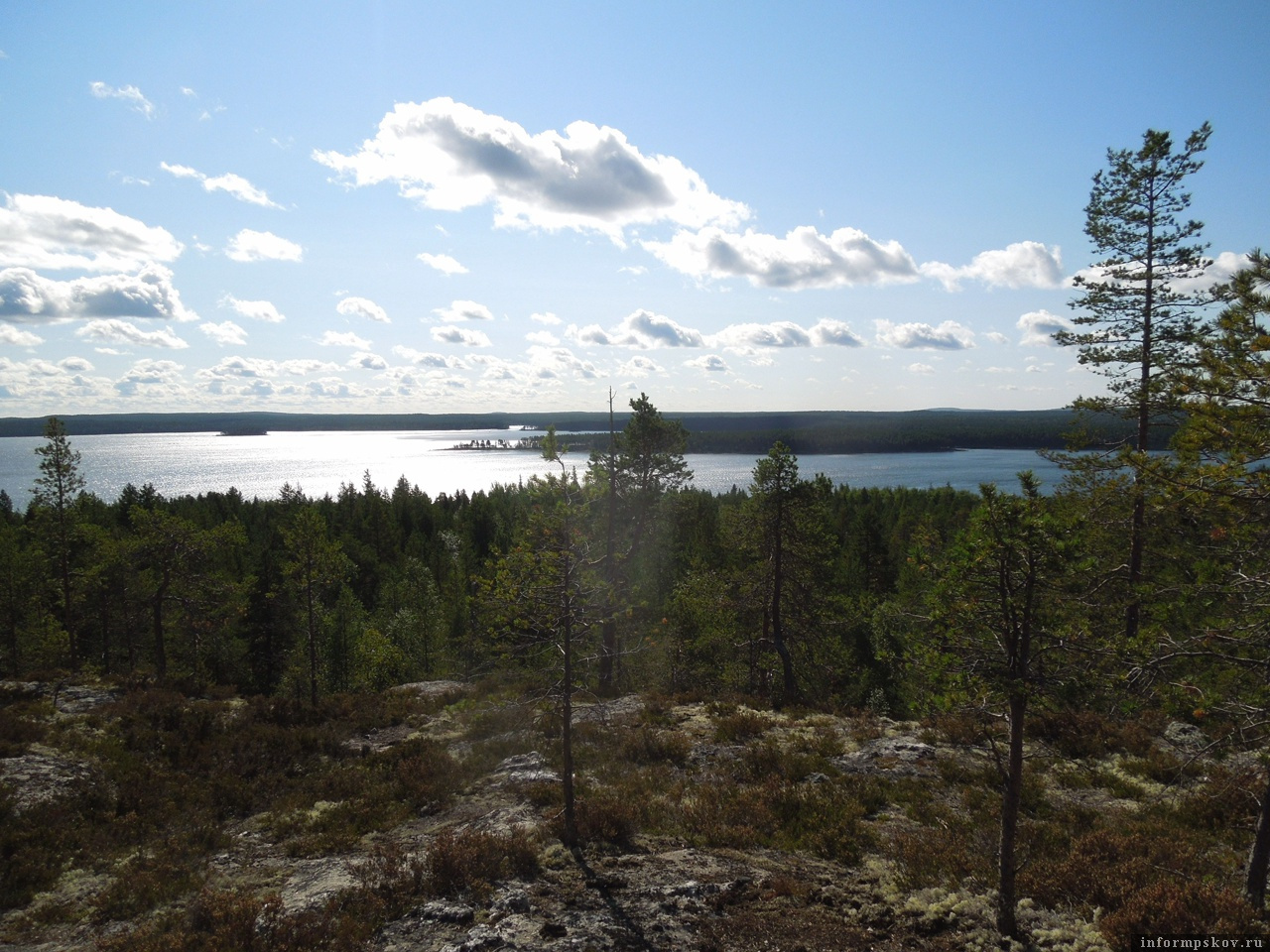 Редкие виды сохранились в ботаническом саду Беломорской биостанции