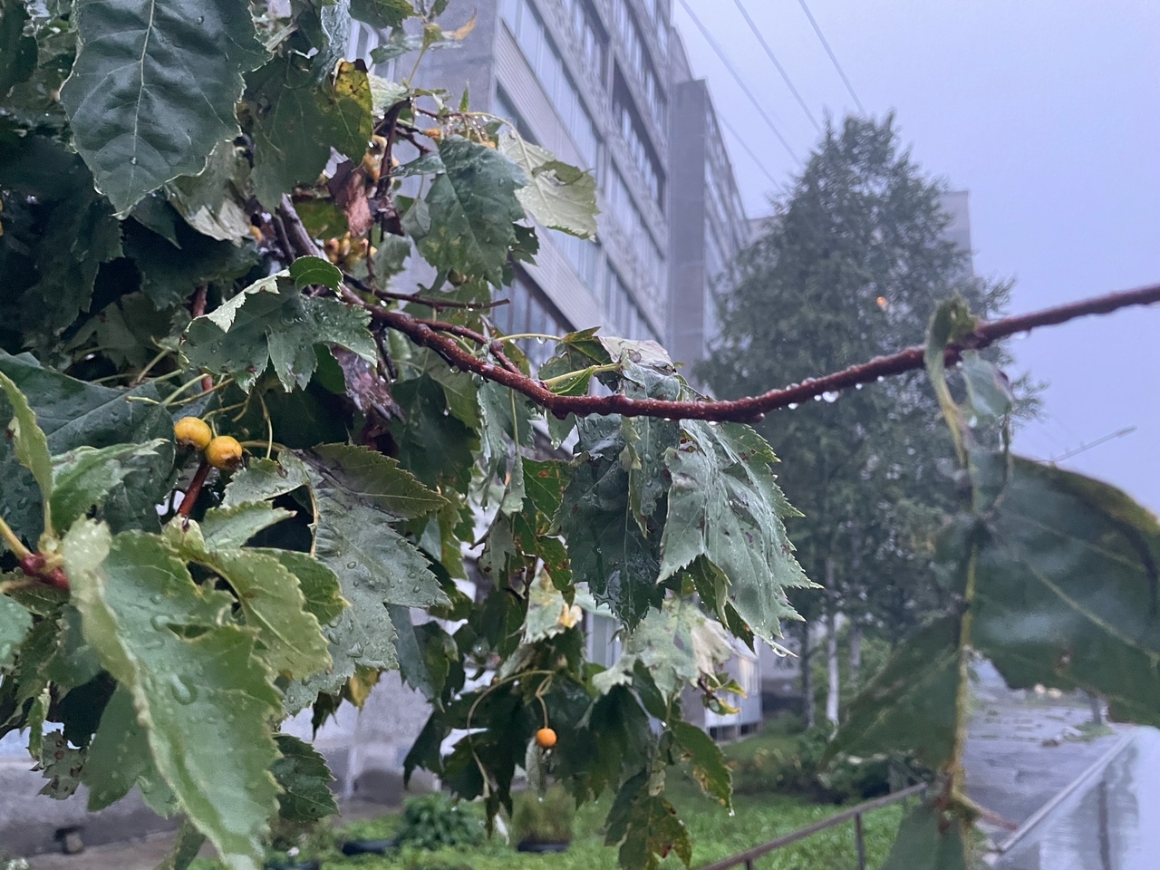 Осень вступила в свои права и наслала 20 сентября на Карелию непогоду и похолодание до 0°С