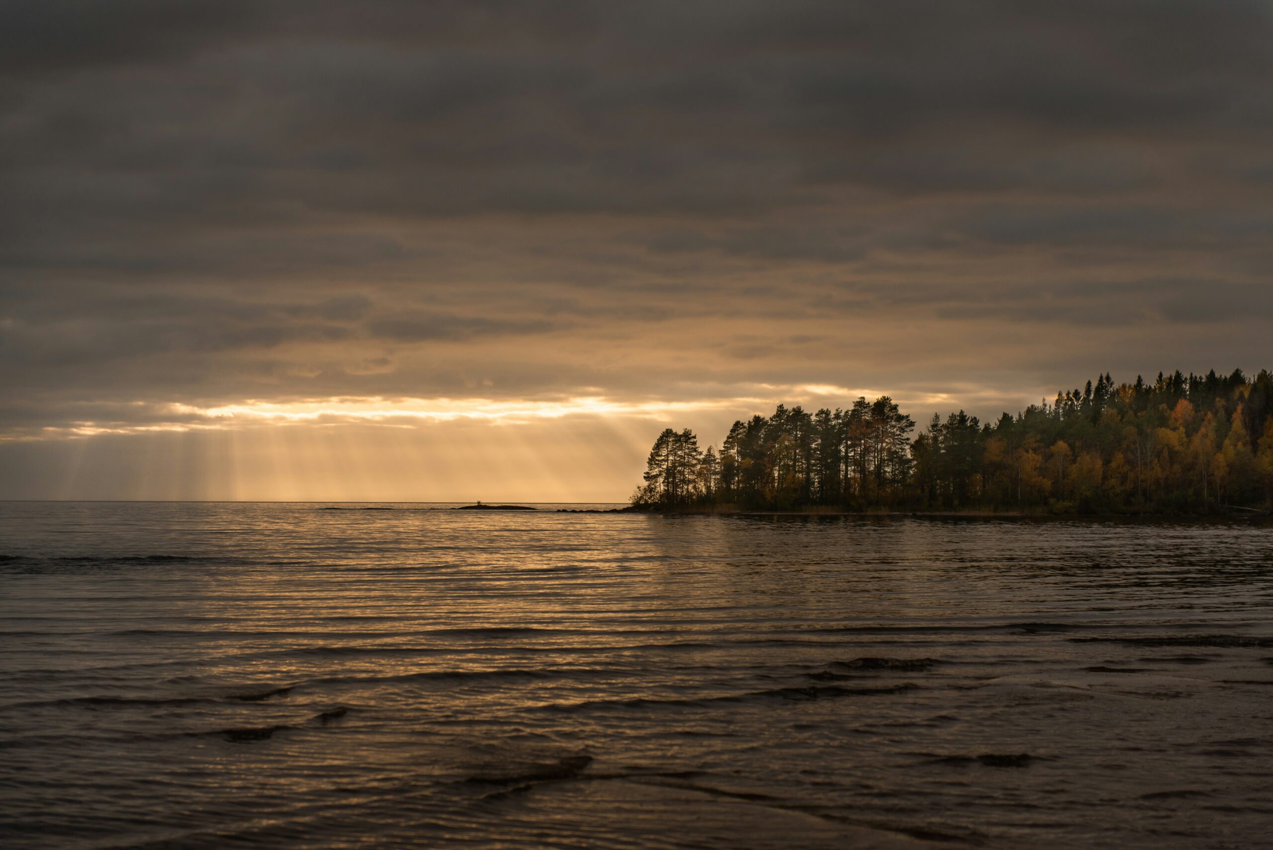 Карельские леса и озера вошли в список рекомендаций «Яндекс Путешествий»
