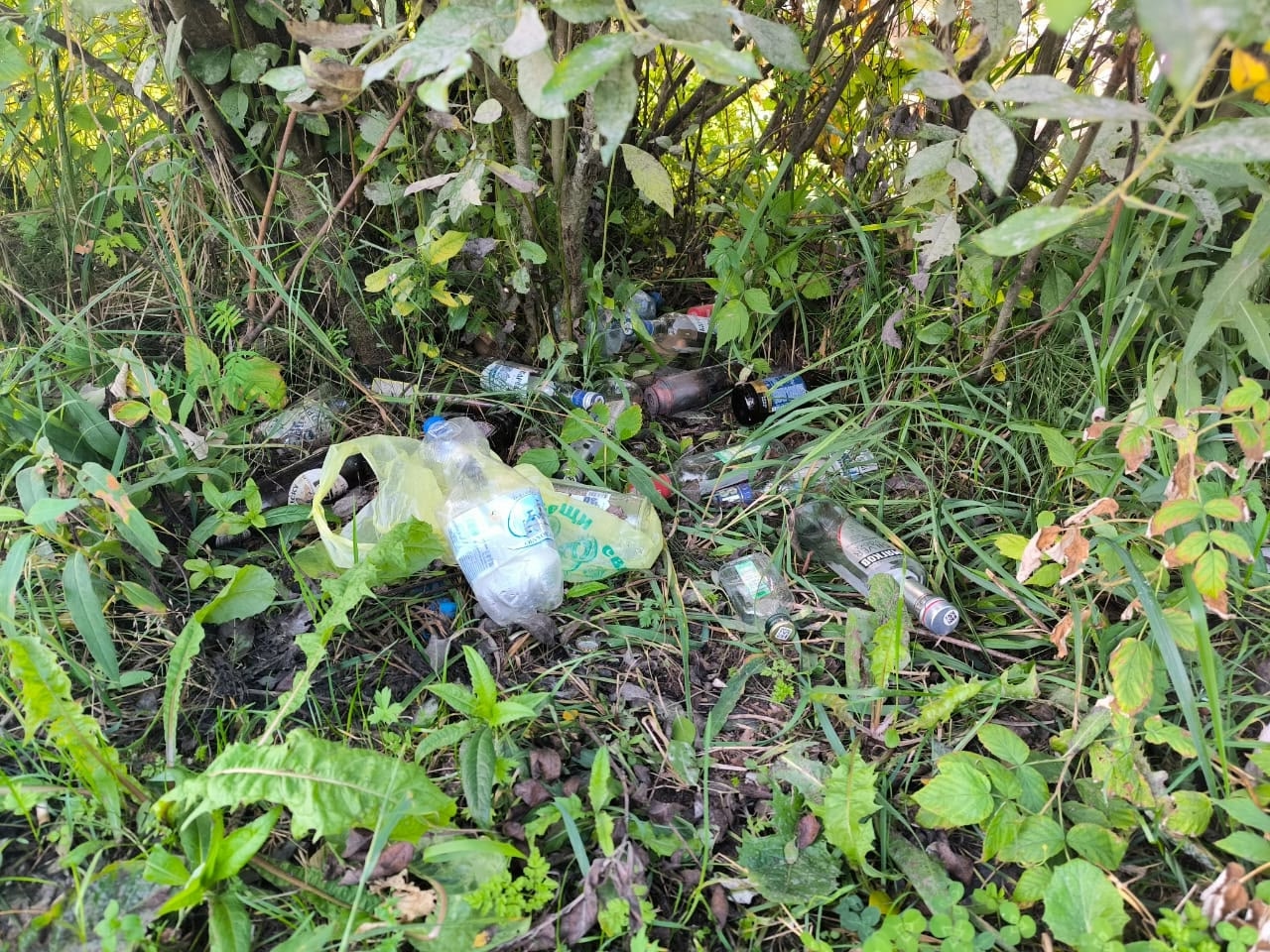 Житель Карелии призвал бороться с мусором в лесах