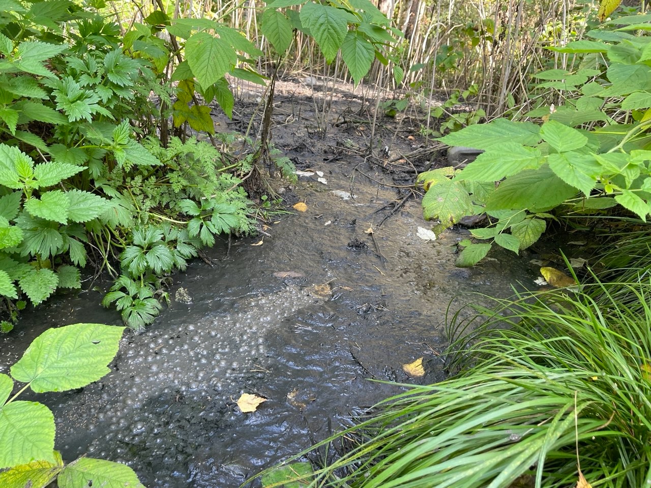 Депутат сообщил о сбросе канализационных стоков в поселке Карелии