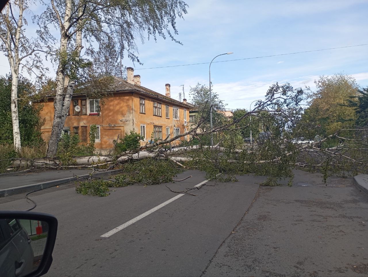 Мощный ветер валит деревья в Карелии