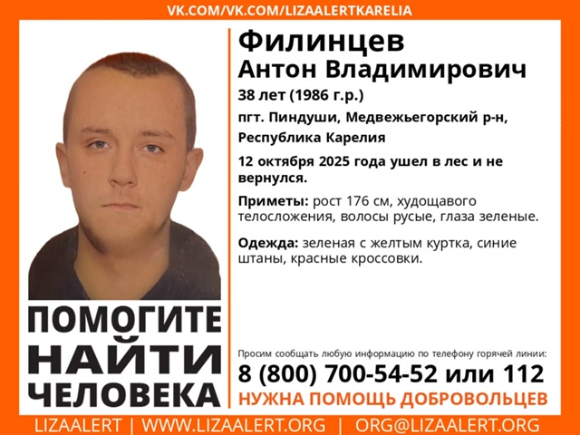 «ЛизаАлерт» просит подключиться к поискам 38-летнего Антона из Пиндушей