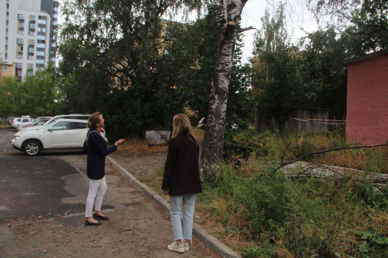 В Петрозаводске убрали 130 аварийных деревьев