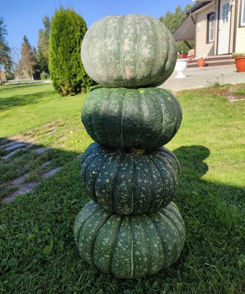 Стал известен победитель конкурса, которому можно привиться бесплатно