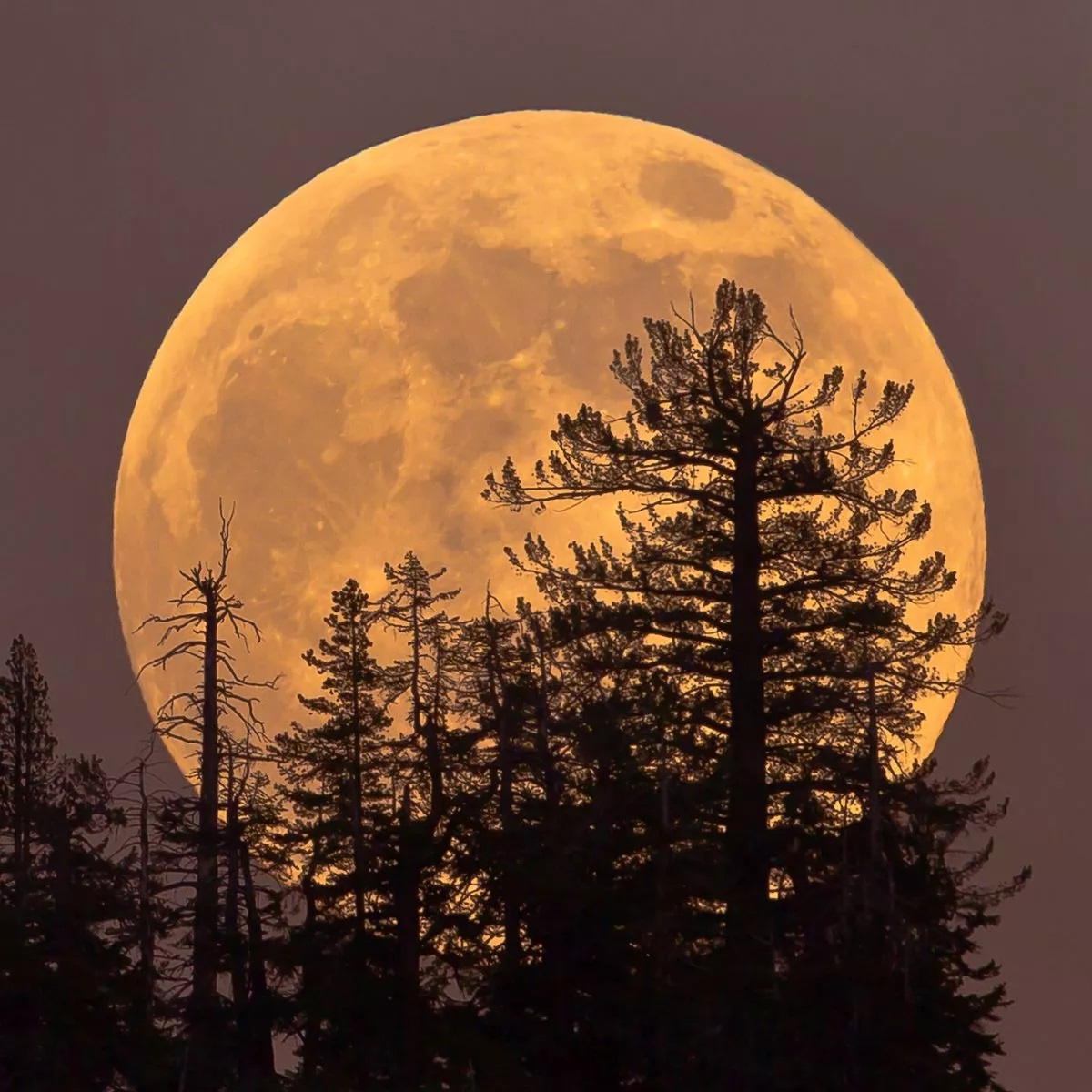 Осеннее суперлуние можно будет наблюдать 6 и 7 октября