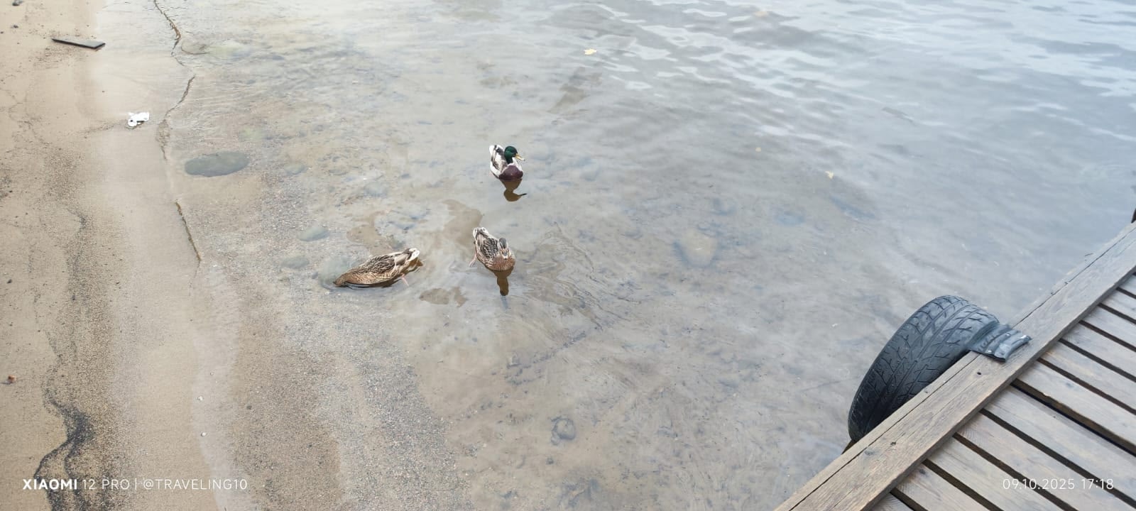 Утечка топлива в заливе Яккимваара угрожает всей местной экосистеме