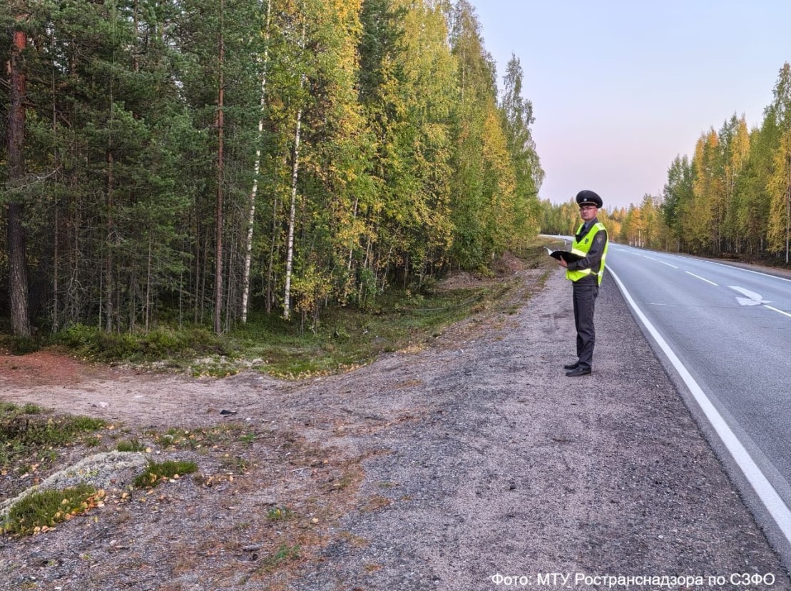 Ространснадзор выявил десятки нарушений на трассе к финской границе