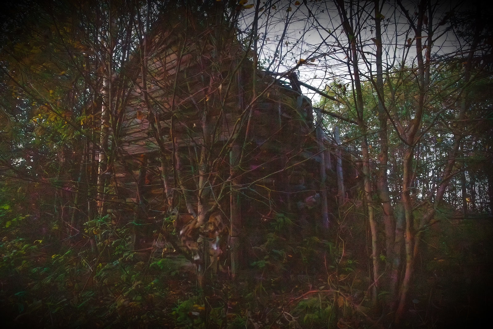 Уникальные данные о часовнях Карелии обнаружили в Национальном архиве