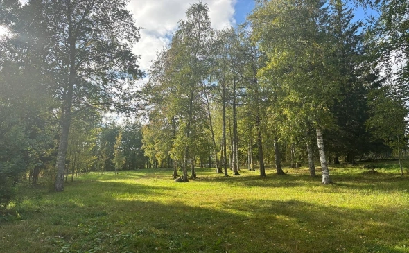 Парк Удега в Петрозаводске благоустроят за 7,3 млн рублей