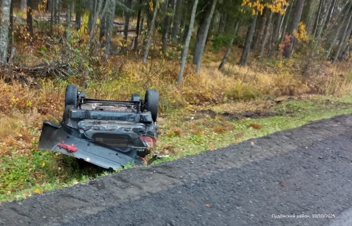 Водитель отвлекся: двое взрослых и ребенок пострадали в перевернувшейся иномарке на востоке Карелии