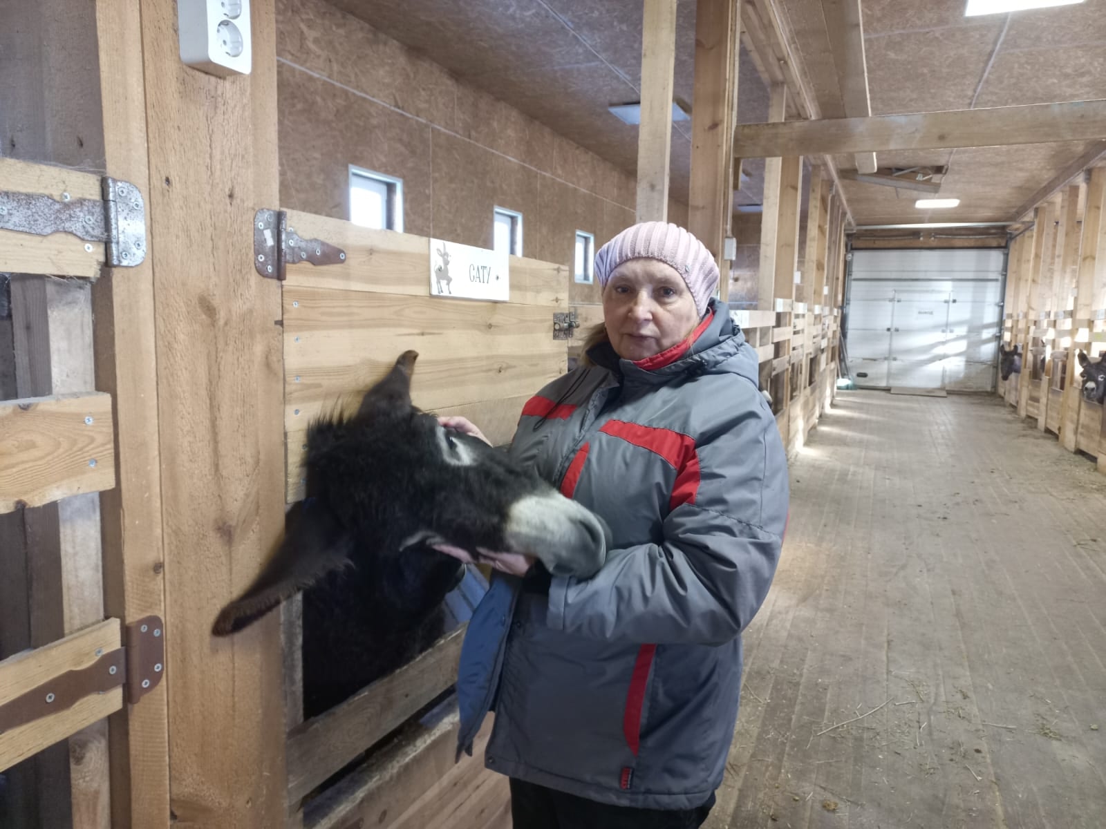 В Карелии началась осенняя вакцинация скота