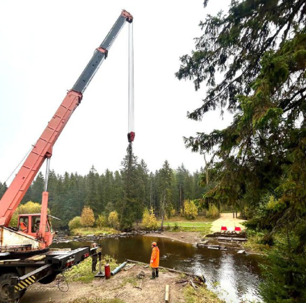 Инна Колыхматова сообщила о завершении демонтажа Курганского моста