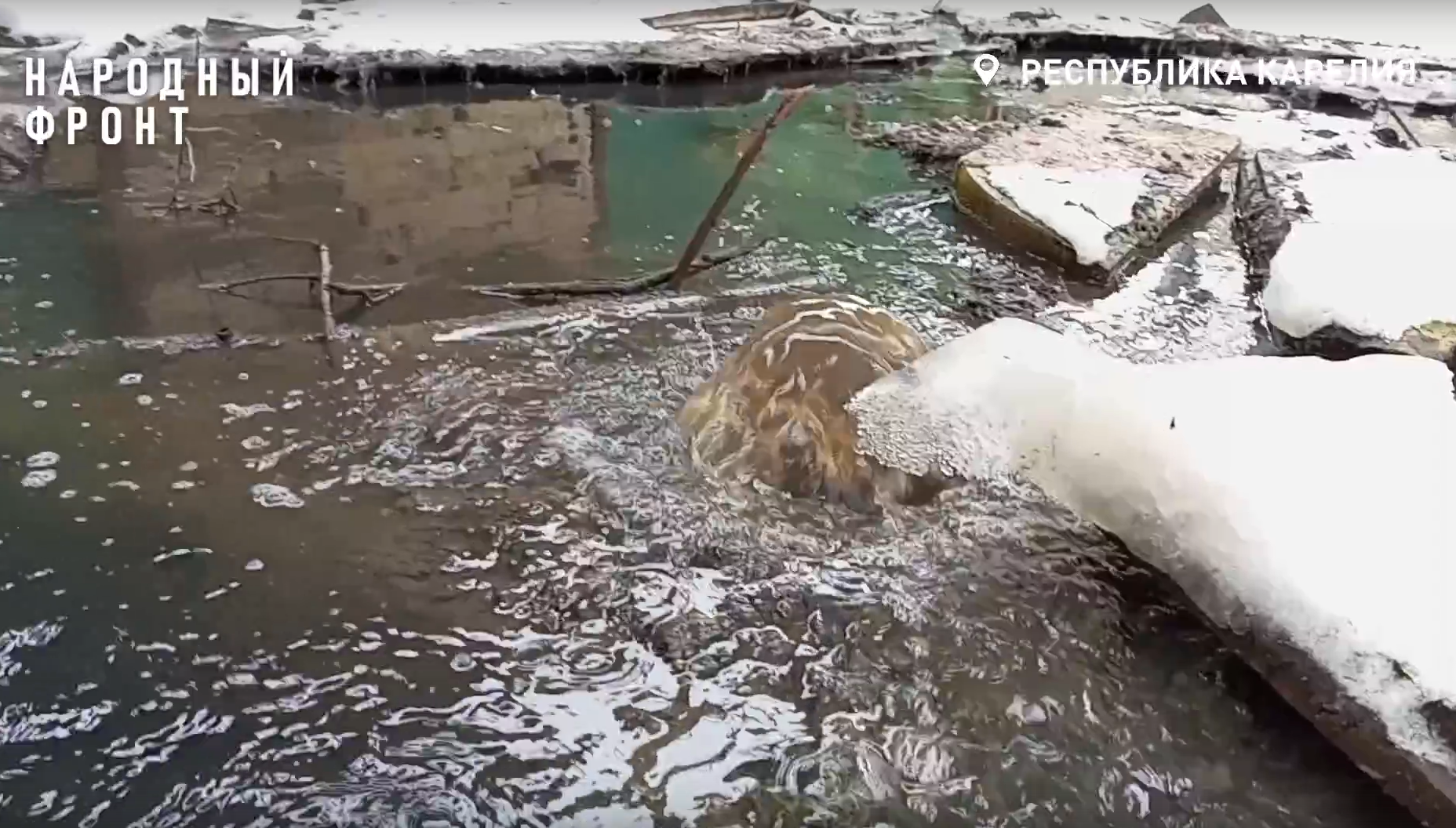 Росприроднадзор оценил ущерб почвам Заозерья в 5 млн рублей