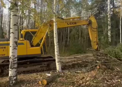 Докторская аллея объединит важные социальные объекты в Петрозаводске