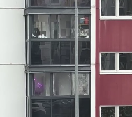 «Лающий» балкон нарушил покой жителей района в Петрозаводске «Лающий» балкон нарушил покой жителей района в Петрозаводске