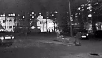 Агрессивный бульдог пьяной хозяйки искусал лабрадора в Петрозаводске Агрессивный бульдог пьяной хозяйки искусал лабрадора в Петрозаводске