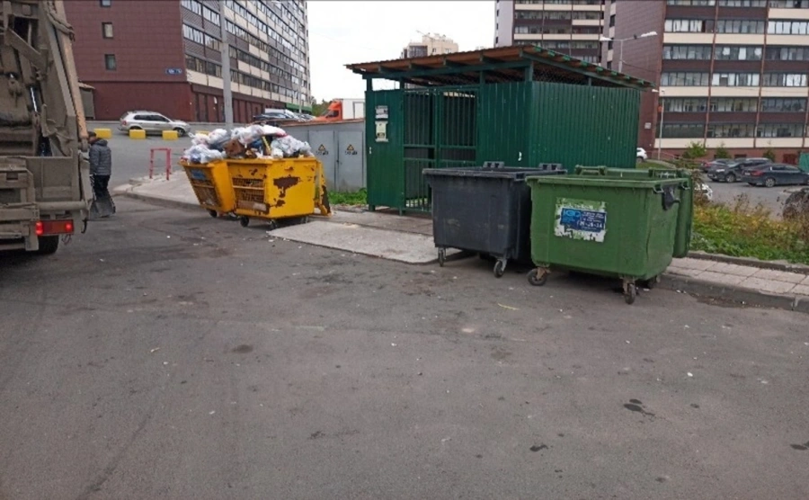 Новые штрафы за мусор на контейнерных площадках ввели в Карелии