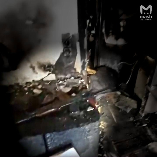 Человек, убивший  архитектора  Супоницкого в Петербурге, оказался замешан в махинациях с жильём в Сортавале