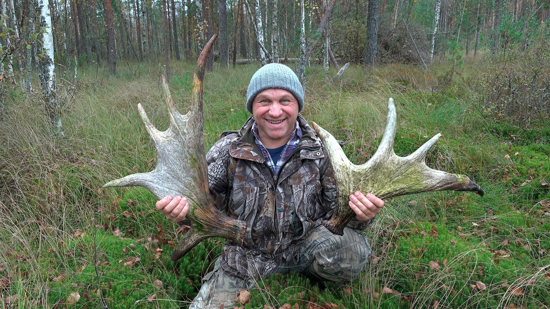 Сезон «тихой охоты» за лосиными рогами открыт: как и где искать лесные трофеи