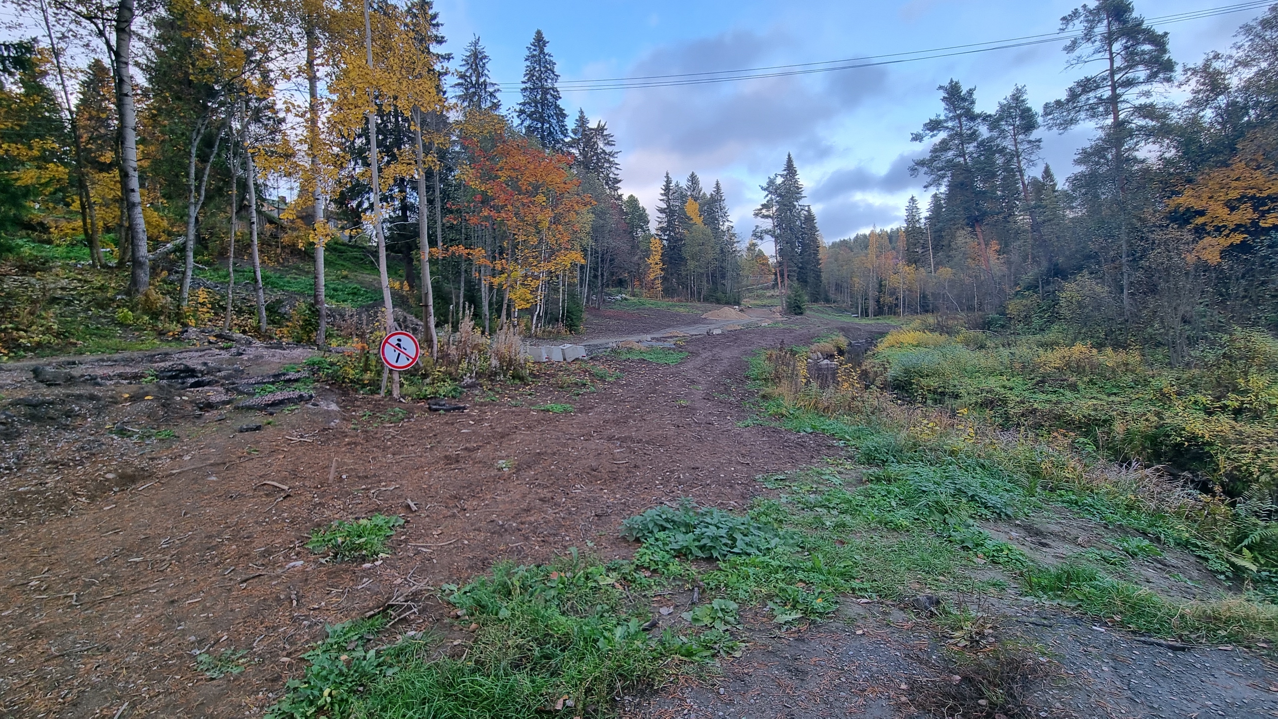 Пенсионеры рискуют здоровьем из-за замороженных работ по благоустройству парка в Карелии