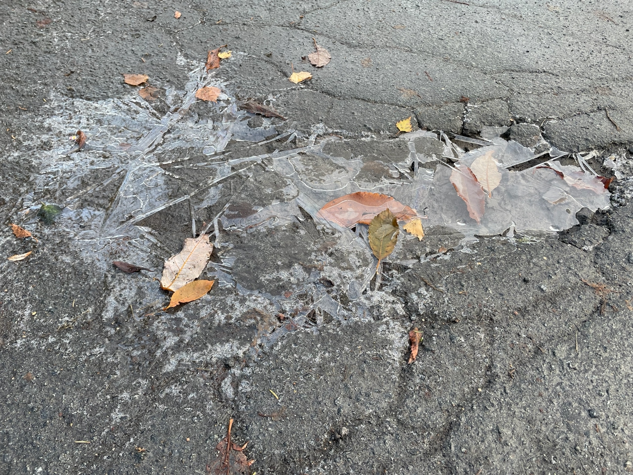 Дорожная полиция Петрозаводска призвала водителей не тянуть до последнего