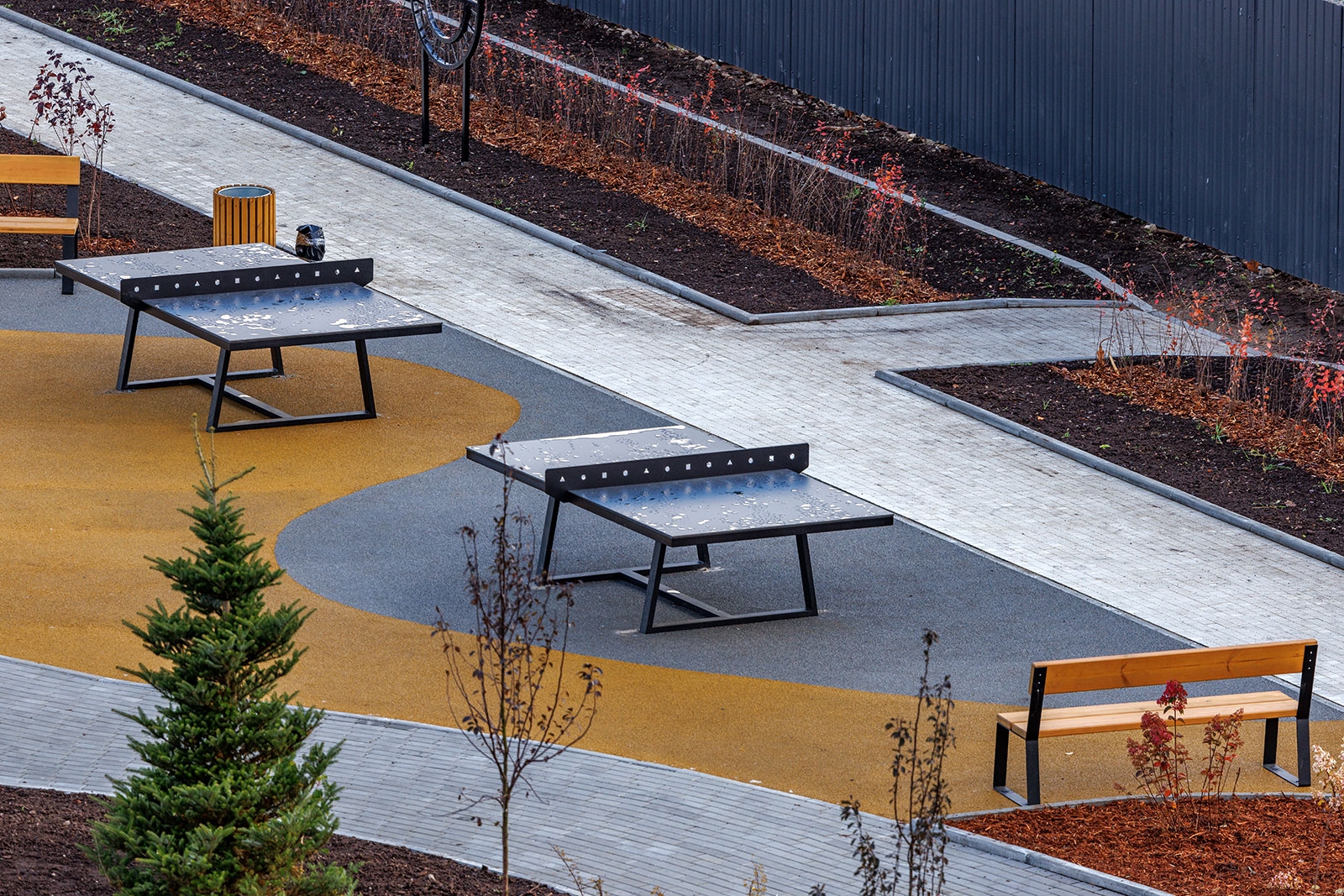 Карельский фотограф обнаружил место для досуга в петрозаводском парке