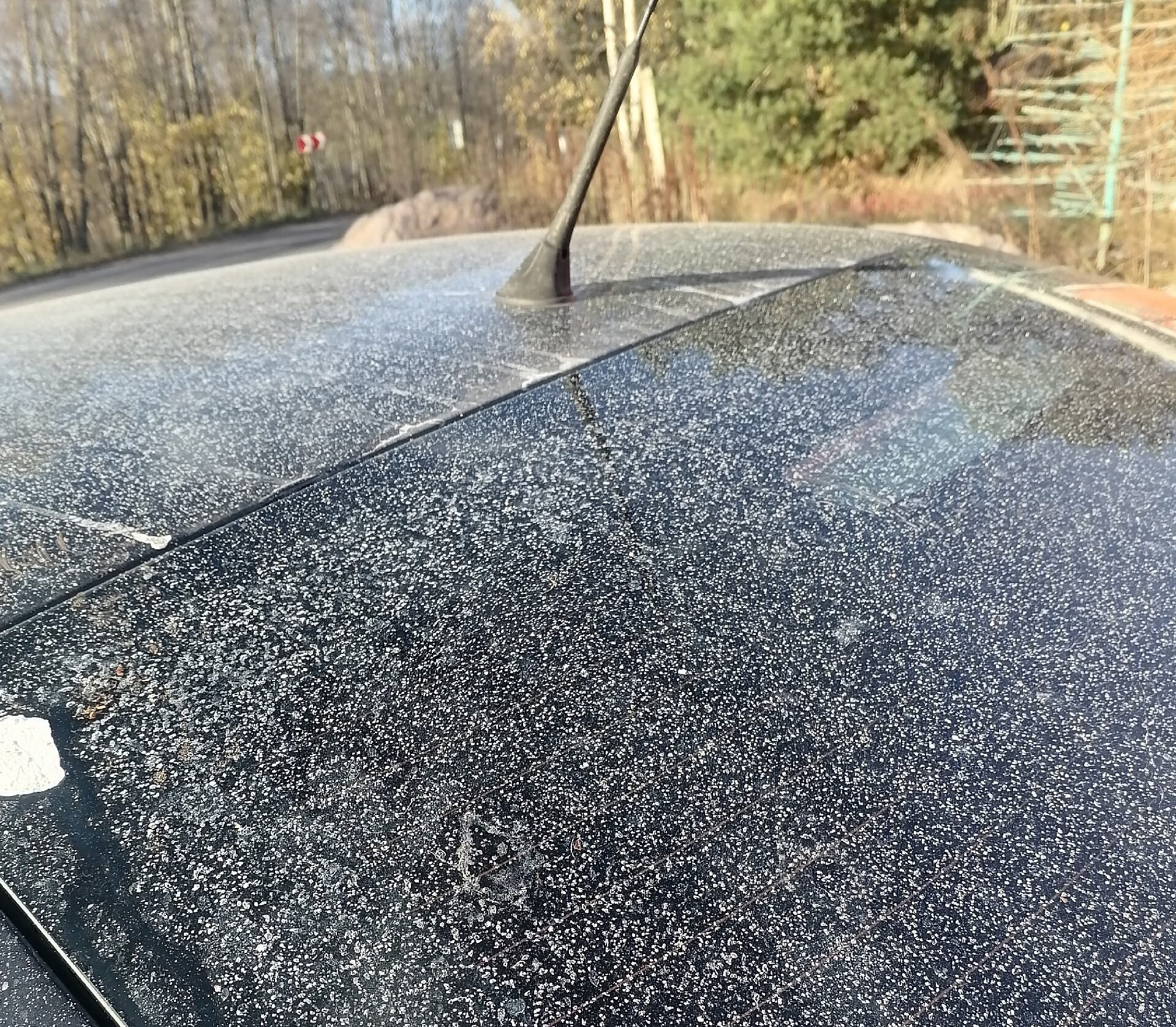 Выбросы с завода помешали жителям города в Карелии Выбросы с завода помешали жителям города в Карелии