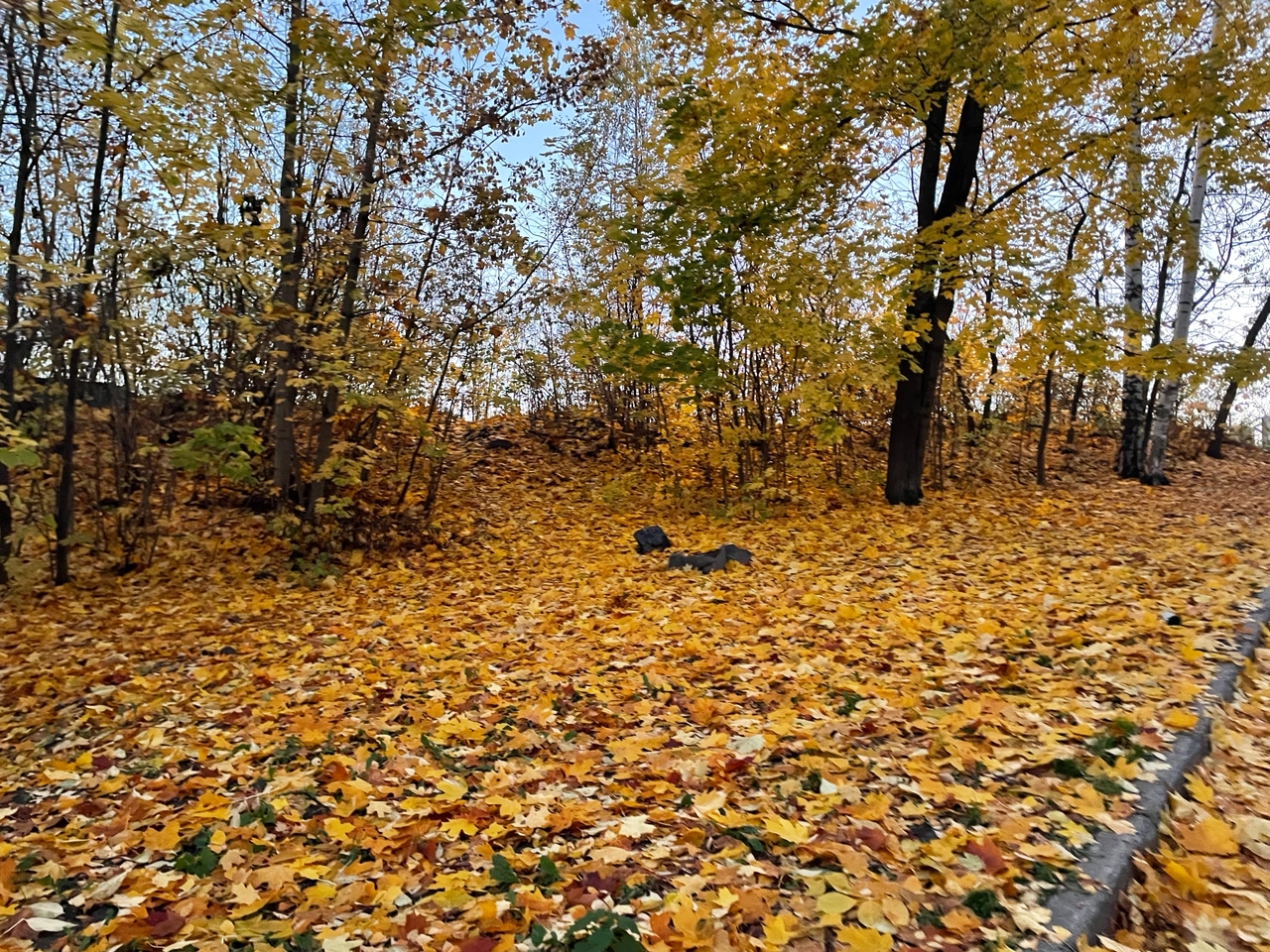 До конца октября Карелию согреет Гольфстрим, зима пока откладывается