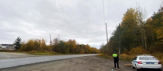 Пьяный водитель пытался подкупить дорожных полицейских Карелии, чтобы замять преступную езду
