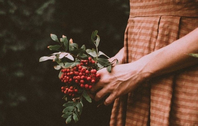 Рябина занимала особое место в верованиях карел и финнов