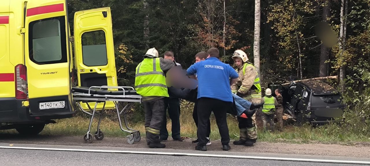 Улетевшая с трассы в Карелии иномарка наломала дров: пострадавшего увезли на «скорой»