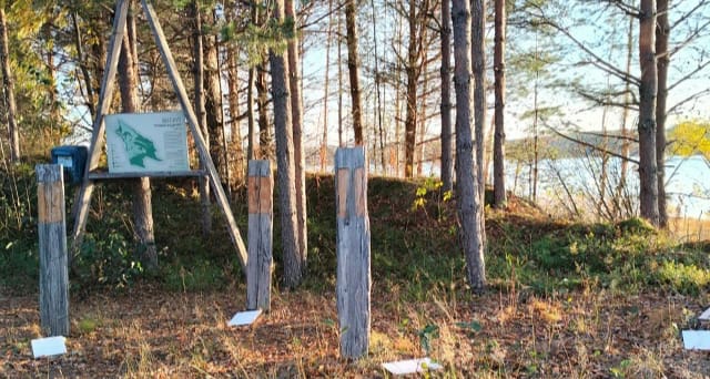 Входная зона «Тропой родичей» в Карелии подверглась акту вандализма