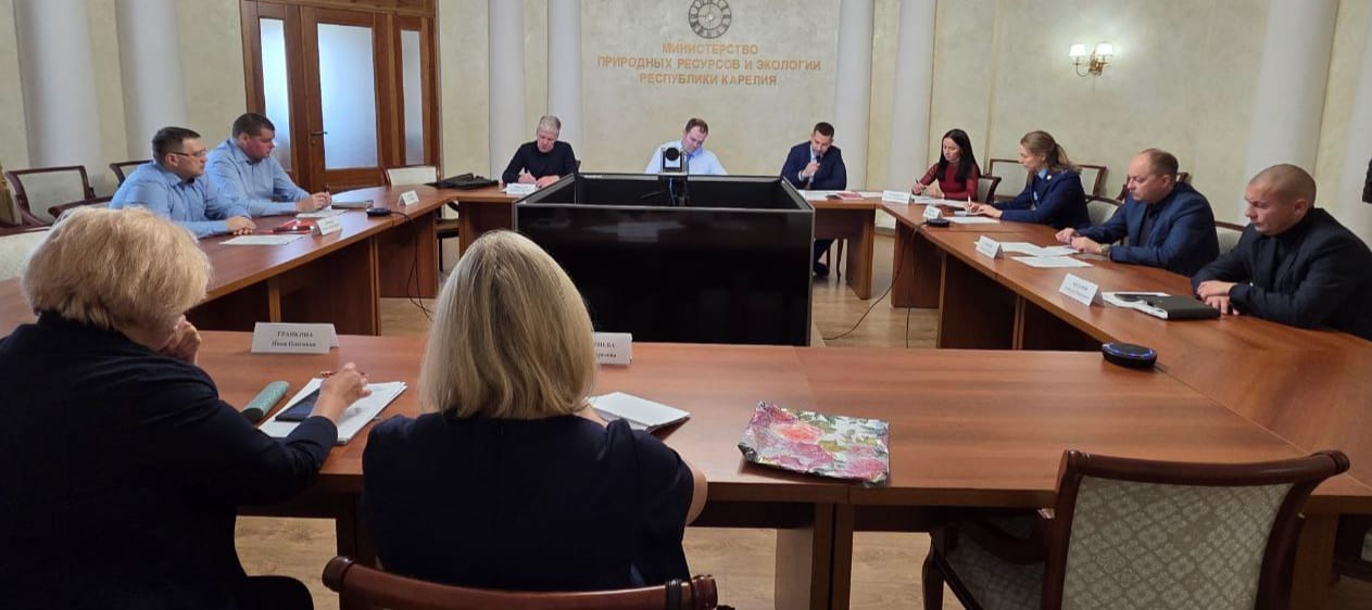 За девять месяцев этого года в Карелии незаконно нарубили древесины на 30 млн рублей