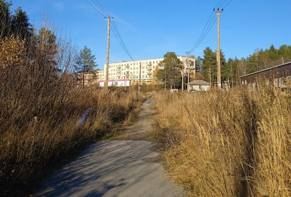 Дети идут в темноте по безлюдной местности: в Пиндушах подняли проблему освещения в поселке