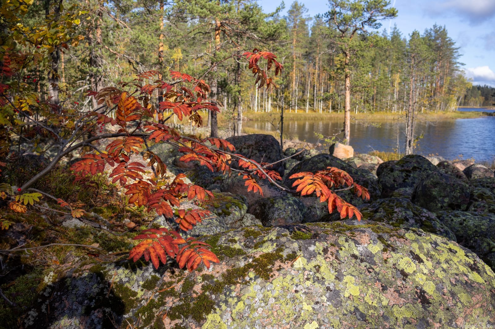 Финалист шоу Первого канала «Голос» отправился в Карелию на перезагрузку Финалист шоу Первого канала «Голос» отправился в Карелию на перезагрузку