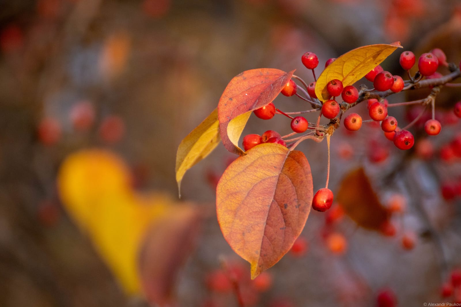 О погоде на выходные дни и ноябрьские праздники рассказали карельские синоптики О погоде на выходные дни и ноябрьские праздники рассказали карельские синоптики