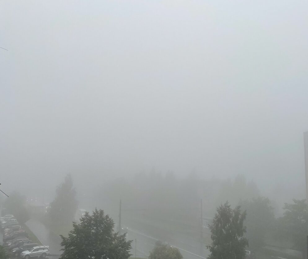 Опасный туман почти на сутки накрыл Карелию местами