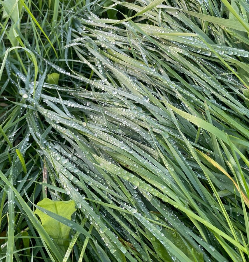 В воскресенье в Карелии впору устроить день пряного глинтвейна и мягкого пледа