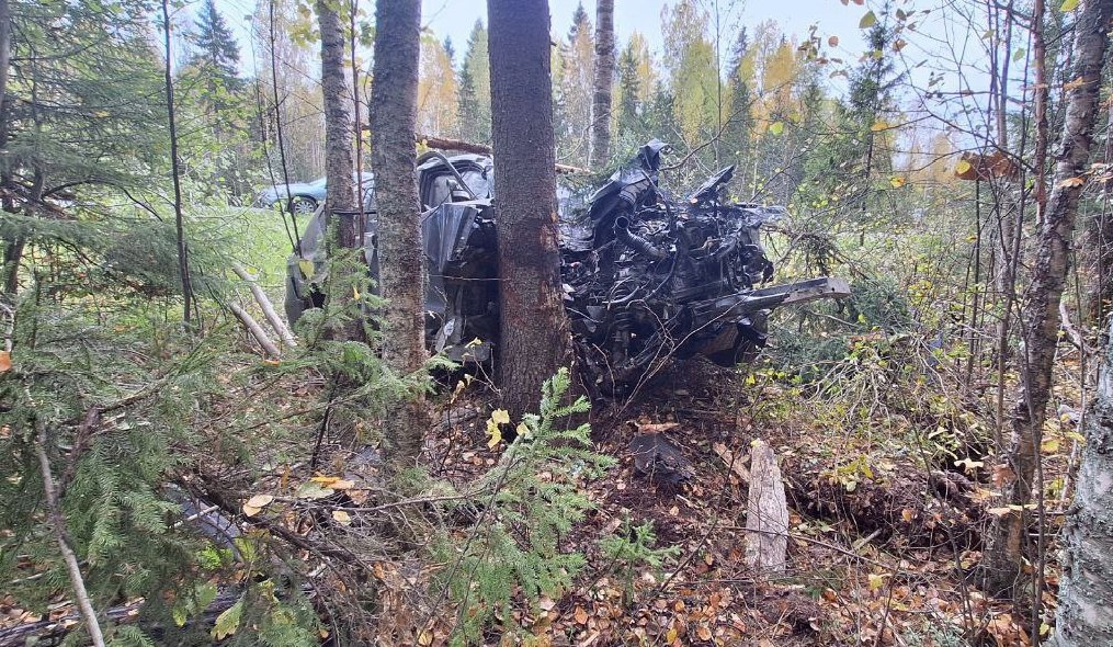 Водитель уходил от столкновения: стало известно, как иномарка наломала дров на трассе в Карелии