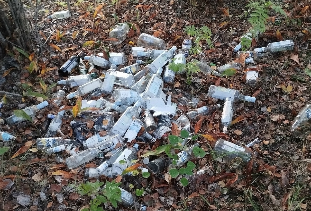 Волонтеры просят помощи с вывозом мусора с острова на Онежском озере